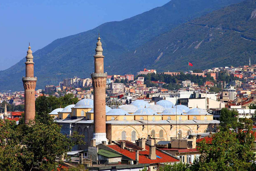 Bursa